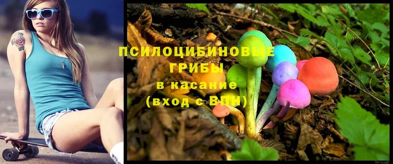 Псилоцибиновые грибы MAGIC MUSHROOMS  ОМГ ОМГ сайт  Вышний Волочёк 